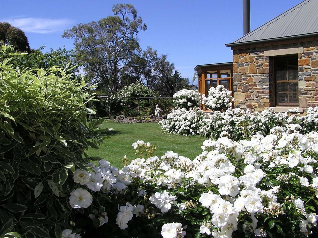 Wagners Cottages สวอนซี ภายนอก รูปภาพ