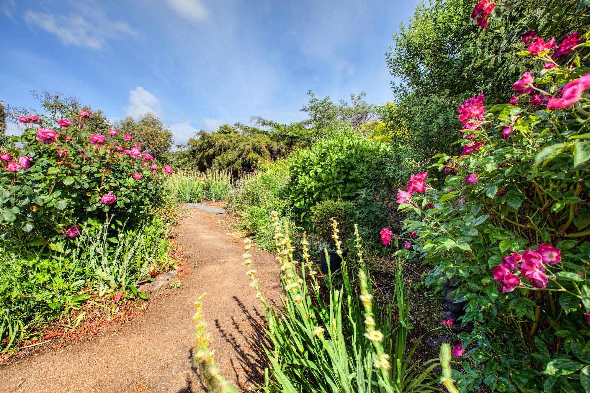 Wagners Cottages สวอนซี ภายนอก รูปภาพ